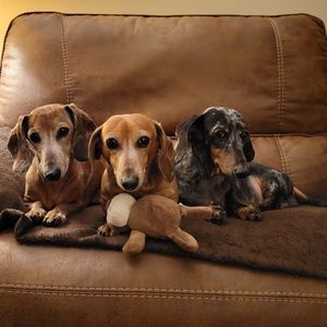 Meet your Posher, Yvette